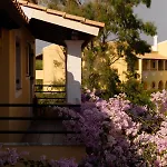 Tereza Apart Otel Acharavi (Corfu)