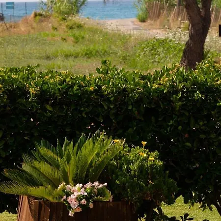 Appart hôtel Tereza Akharavi