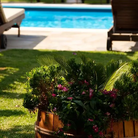 Tereza Hotel de apartamente Acharavi (Corfu)