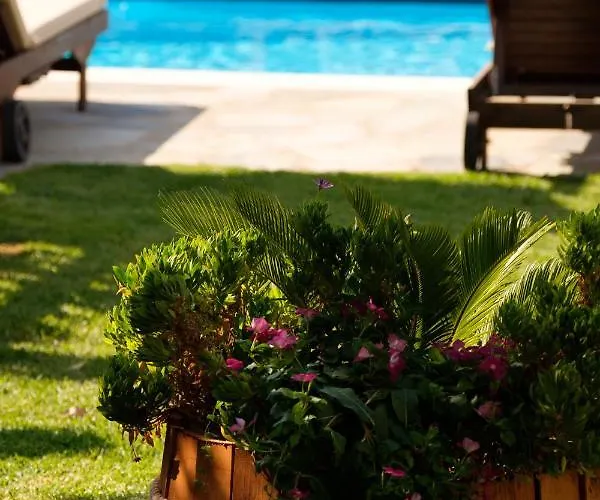 Tereza شقة فندقية أخارافي